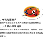 亲和环保产品