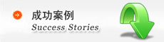 成功案例